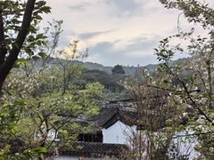 -东山风景区(洞庭东山)