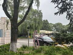 -大兴滨河森林公园