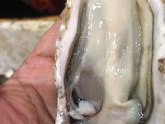 -蚝哥花姐湛江烤生蚝(美丽湾市场店)