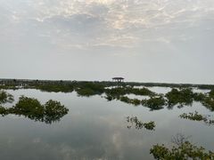 -北海金海湾红树林生态旅游区