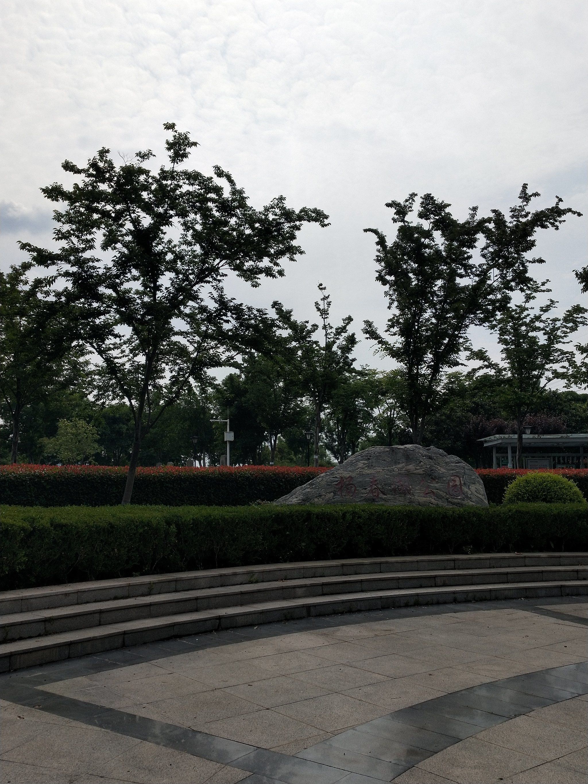 杨春湖公园是个低调的花海