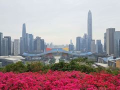 -榕意·川味之美(深业上城店)