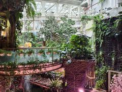 -正佳雨林生态植物园