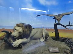 -国家自然博物馆