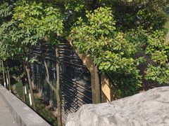-龙头寺公园
