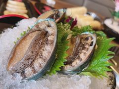 小鲍鱼-尚海豆捞(乐虹坊店)