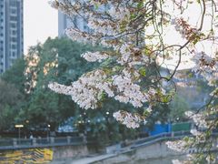 -红星桥(地铁站)