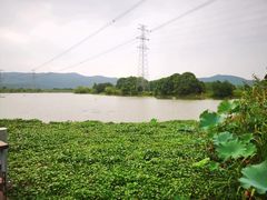 -长田漾湿地公园