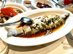 -万龙洲海鲜(广渠门店)