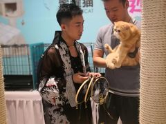 -首开·龙湖成都西宸天街