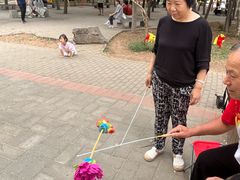 -西苑公园