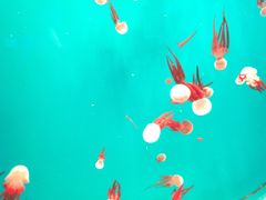 -多彩贵州城极地海洋世界