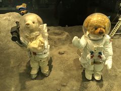 景点-济州岛泰迪熊博物馆