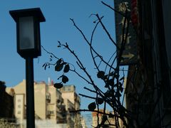 -连云港民主路老街