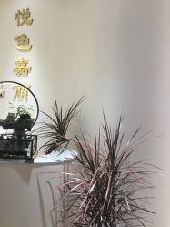 点击看大图 -悦色嘉丽科技美肤健康管理