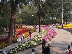 -北京植物园-展览温室
