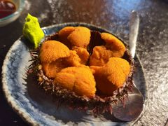 -桂马·日本料理·海胆·海鲜饭·酒场(民主广场店)