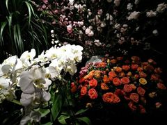 -春暖花开(西溪店)