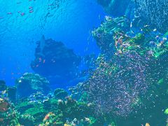 -海合安青岛极地海洋公园