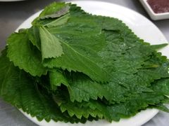 -松明一烤肉馆(鲁园店)