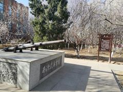 -桃花堤公园