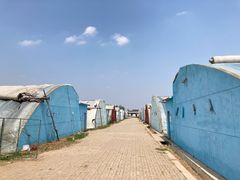 -万源龙顺度假庄园生态观光园