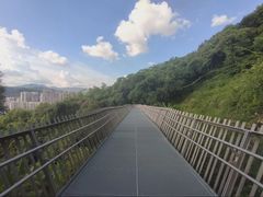 -福道