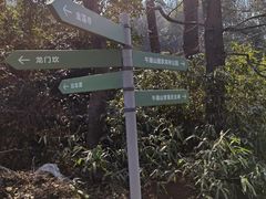 -午潮山国家森林公园
