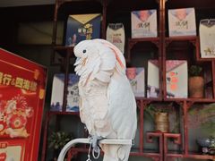 -四海楼(如皋定慧禅寺店)