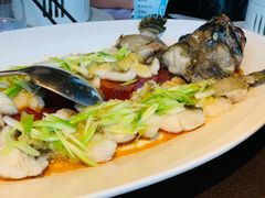 石斑鱼-三利音·东方司宴(外滩店)