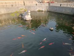 -凤凰山公园-龙王古庙