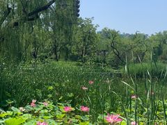 -西海子公园