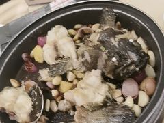 -锦粤宫·精致粤菜(深圳北站店)