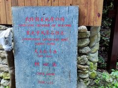 -龙水峡地缝景区