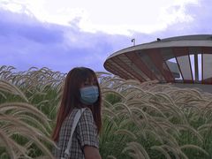 -光明小镇欢乐田园