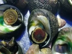 -渔中舟海鲜大排档(普陀沈家门店)