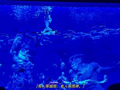 -哈尔滨波塞冬海底世界