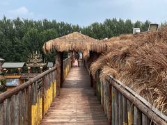 -呀路古热带植物园