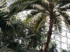 -北京植物园-展览温室