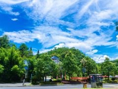 -九龙江国家森林公园