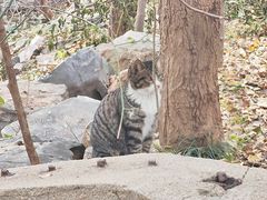 -云龙山