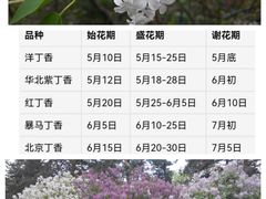 -群力丁香公园