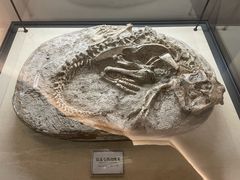 -辽宁古生物博物馆
