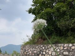 -水峪民俗村