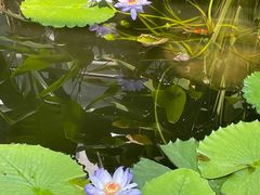 -国家植物园南园