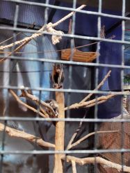 -酷嗒动物文化乐园(cutezoo西溪乐天城店)