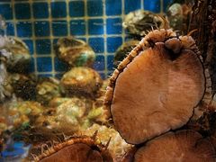 -庆赫隆融合菜馆(群力店)