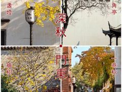 -老门东历史文化街区