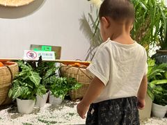 -中国湿地博物馆