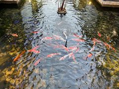 -鹅公村·国家非遗传承(荔湾店)